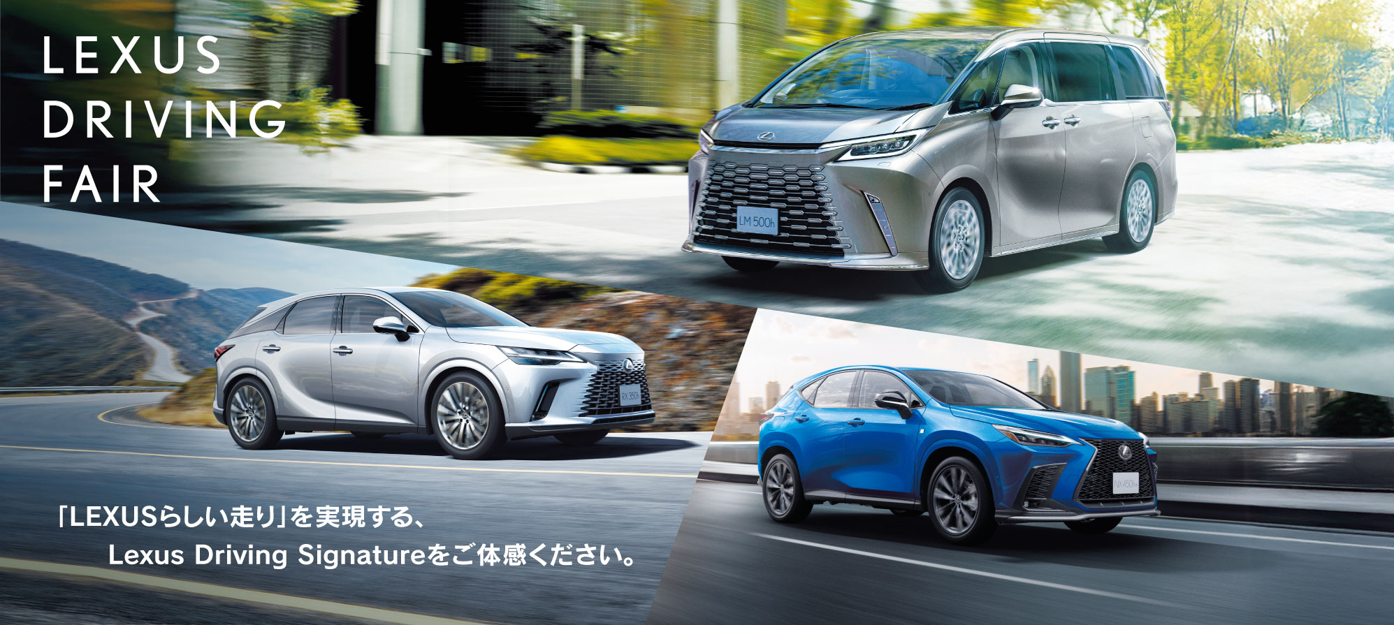 LEXUS SUV Fair