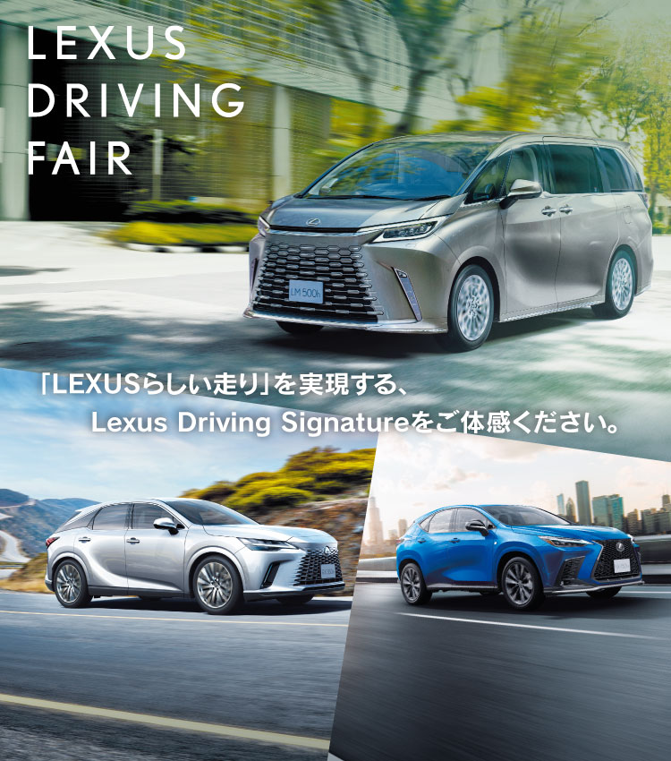LEXUS SUV Fair