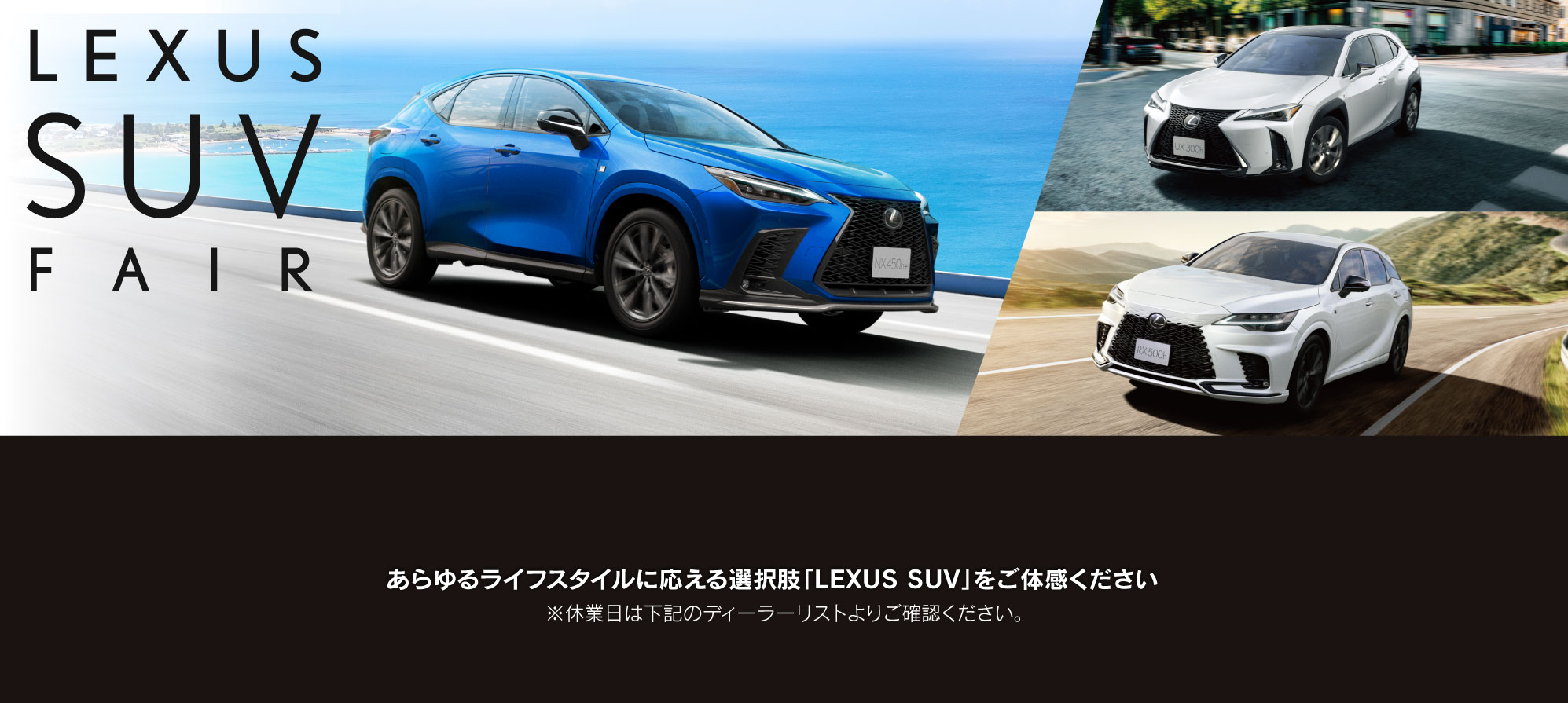 LEXUS SUV Fair