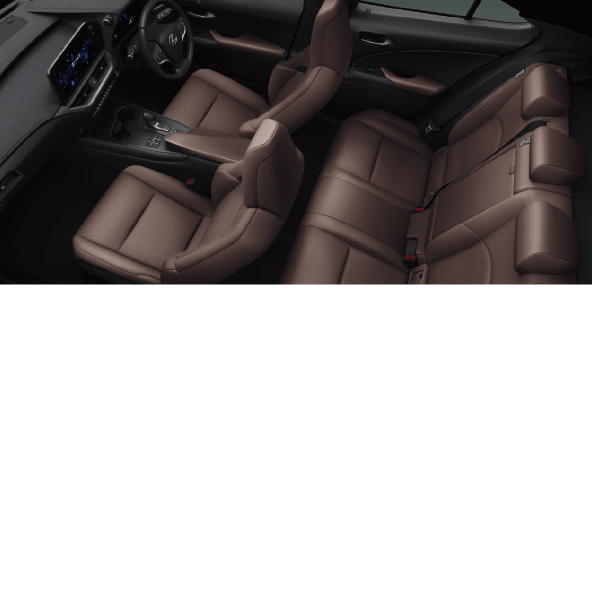 画像12