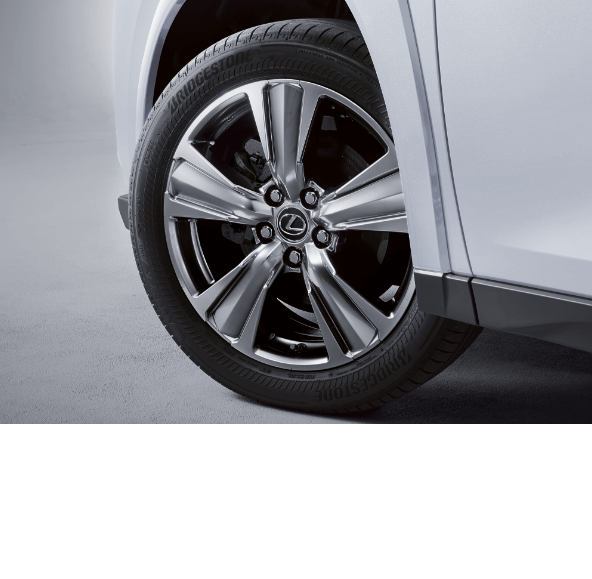 画像15